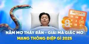 Nằm Mơ Thấy Rắn - Giải Mã Giấc Mơ Mang Thông Điệp Gì 2025